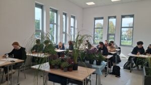 projektowanie nasadzeń