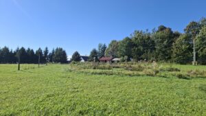 farma ekologiczna - wyjazd studyjny