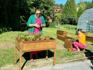 zakładanie ogrodu permakulturowego