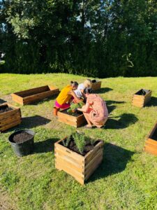 zakładanie ogrodu permakulturowego