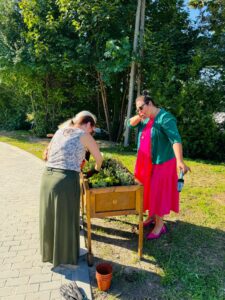 zakładanie ogrodu permakulturowego