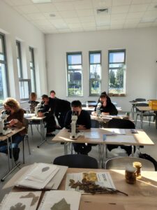 obserwacja agrofagów pod mikroskopem