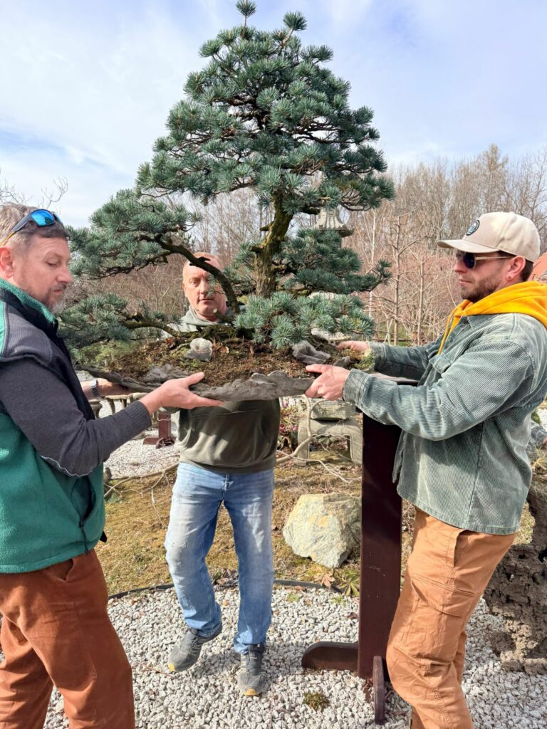 wyjazd studyjny IBUKI Janowice