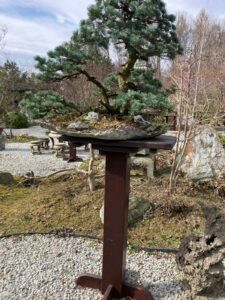 wyjazd studyjny IBUKI Janowice