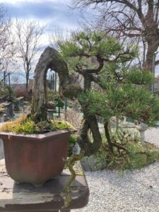 wyjazd studyjny IBUKI Janowice