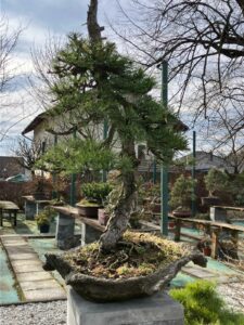 wyjazd studyjny IBUKI Janowice