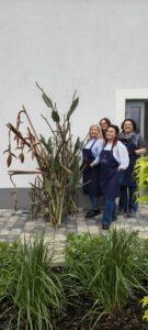 forma przestrzenna