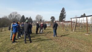 zajęcia praktyczne